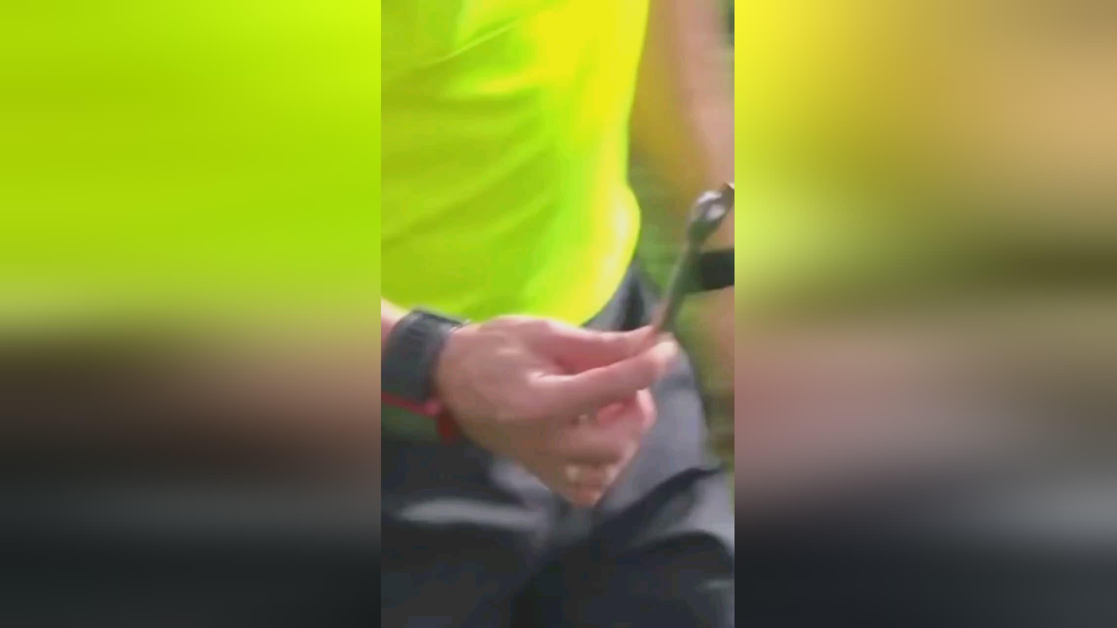整方